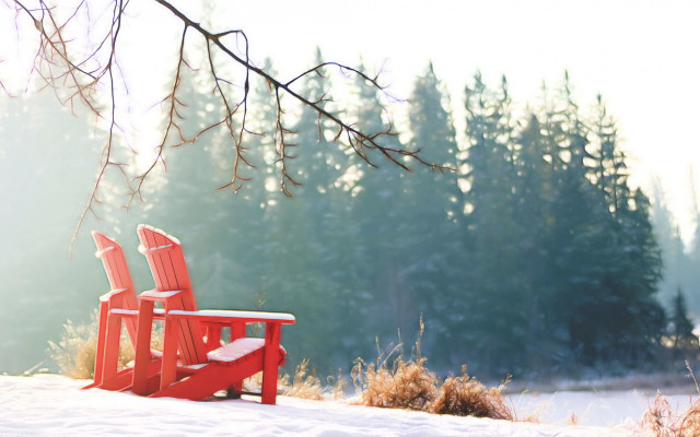 Red chair bench snow tree free wallpaper for desktop - medium preview image