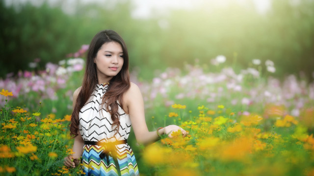 Woman flower field yellow braid free wallpaper for desktop - medium preview image