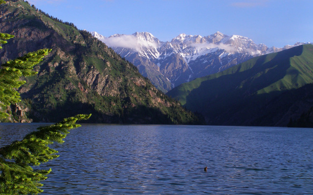 Lake mountains swimming bird arkhip free wallpaper for desktop - medium preview image