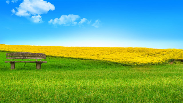 Bench greenfield blueclouds yellowflowers matte free wallpaper for desktop - medium preview image