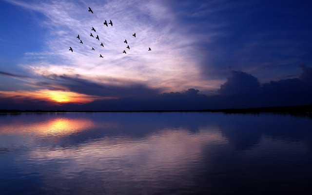 Birds lake sunset matte photography free wallpaper for desktop - medium preview image