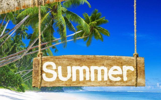 Wooden sign palm tree beach free wallpaper for desktop - medium preview image