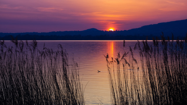 Sunset lake tallgrass mountain bird free wallpaper for desktop - medium preview image
