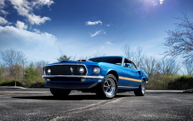 Blue mustang parking lot tree free wallpaper for desktop - medium preview image