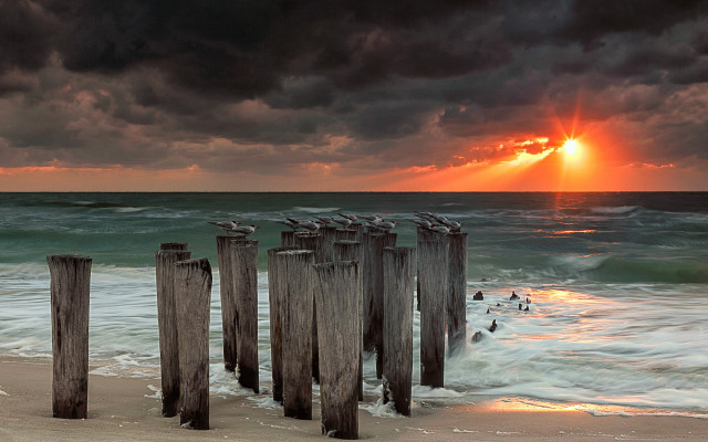 Wooden posts beach cloudy sunset free wallpaper for desktop - medium preview image