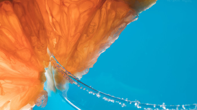 Orange flower water droplets blue free wallpaper for desktop - medium preview image