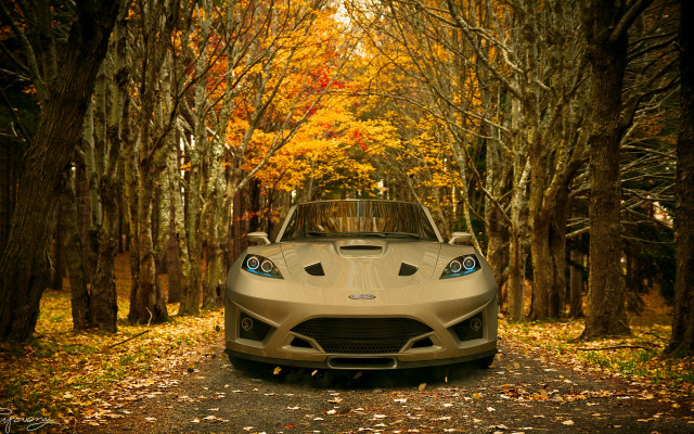 Cobra autumn tiltshift forest leaves free wallpaper for desktop - medium preview image