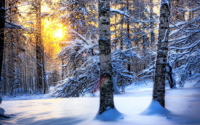 Snowy forest bench sunlight autumn free wallpaper for desktop - medium preview image