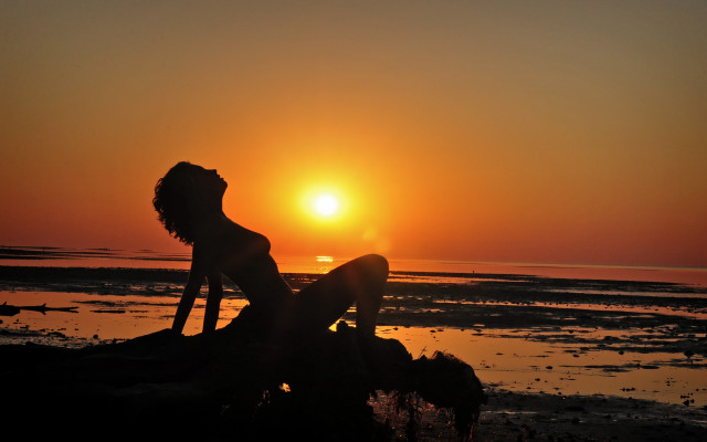 Woman beach sunset silhouette dog free wallpaper for desktop - medium preview image