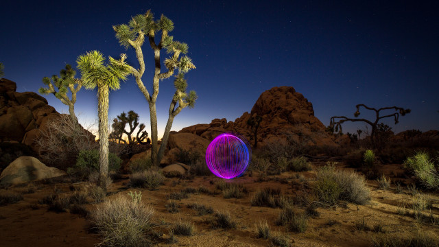 Night desert purple object joshua free wallpaper for desktop - medium preview image