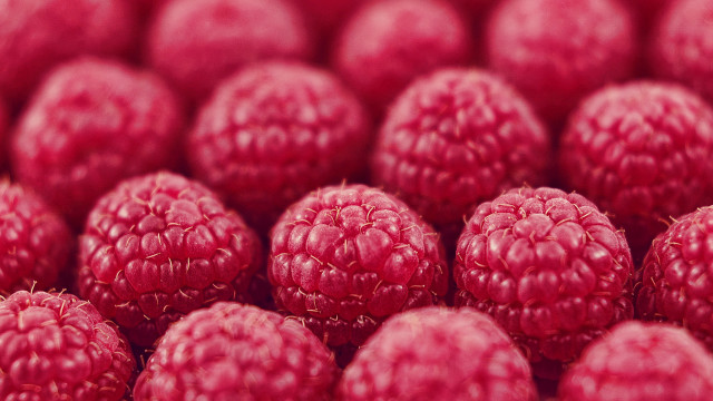 Raspberries closeup blurry background tiltshift free wallpaper for desktop - medium preview image