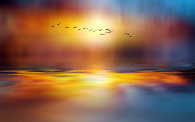 Sunset birds water city mystical free wallpaper for desktop - medium preview image