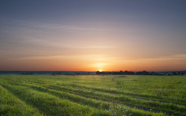 Sunset field grass trees mountain free wallpaper for desktop - medium preview image
