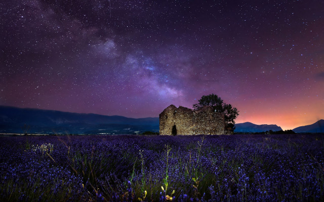 Purple lavender field night sky free wallpaper for desktop - medium preview image