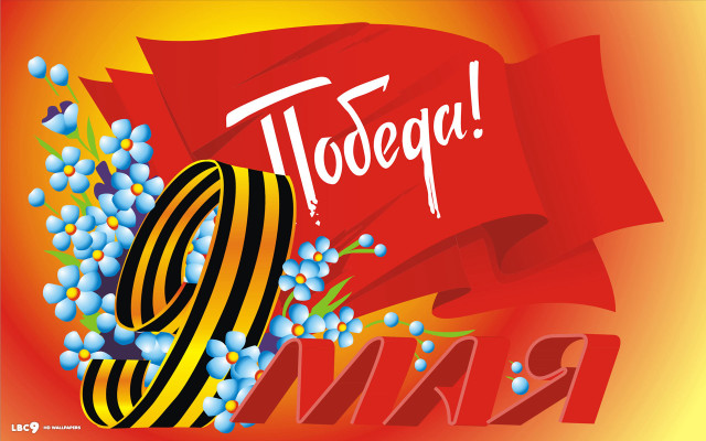 Red banner blue flowers yellow free wallpaper for desktop - medium preview image