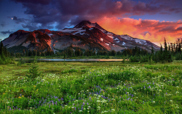 Mountain lake wildflowers sunset pink free wallpaper for desktop - medium preview image