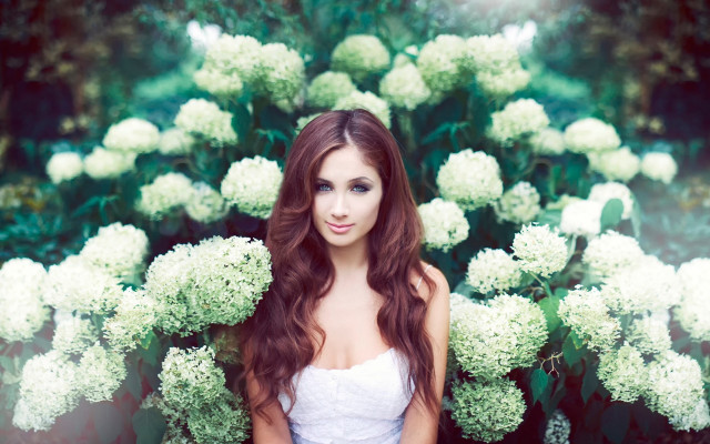 Woman white dress flower bush free wallpaper for desktop - medium preview image