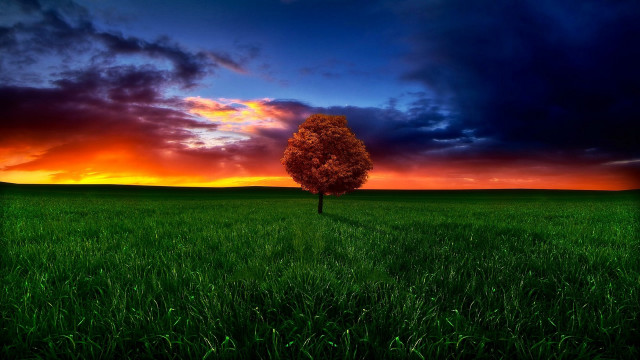 Lone tree sunset clouds mountain free wallpaper for desktop - medium preview image