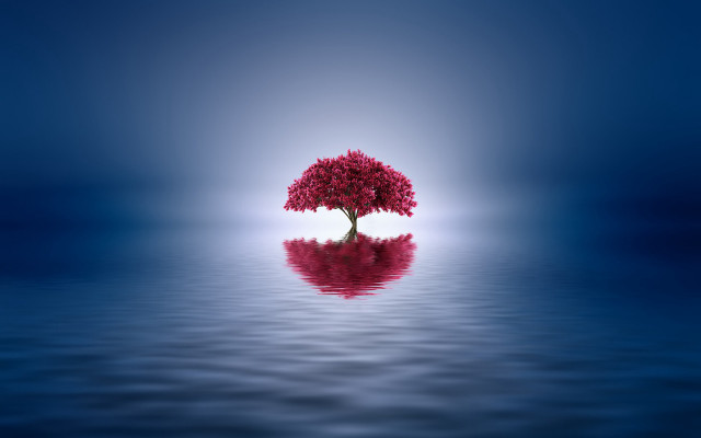 Tree water reflection ocean sky free wallpaper for desktop - medium preview image