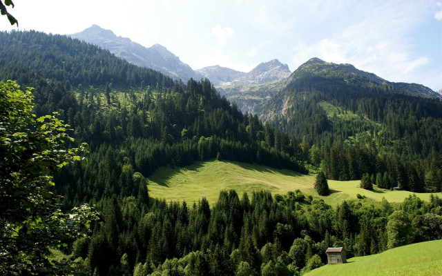 Green valley cabin mountains trees free wallpaper for desktop - medium preview image