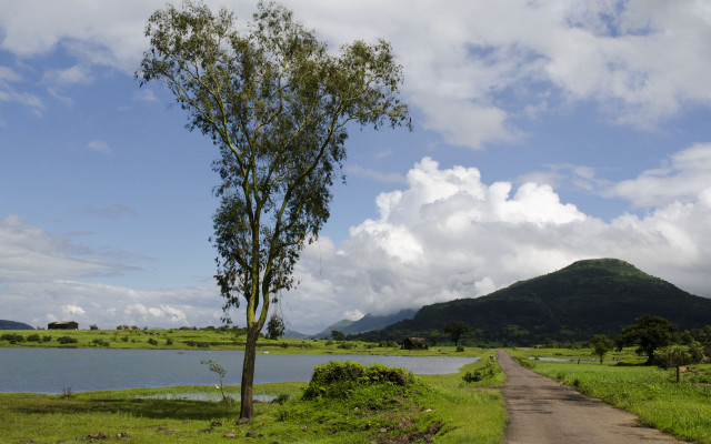 Tree lake mountains clouds sky free wallpaper for desktop - medium preview image