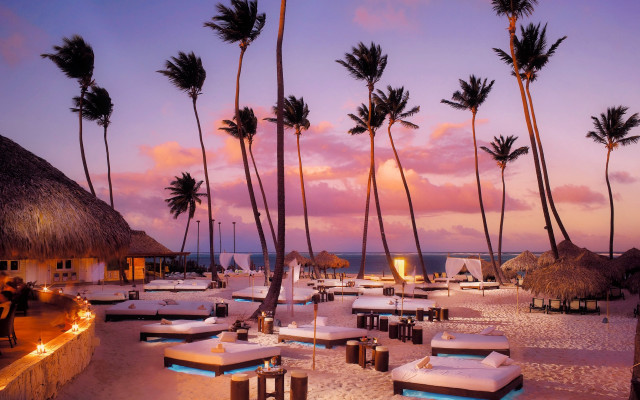 Beach snow palm trees sunset free wallpaper for desktop - medium preview image