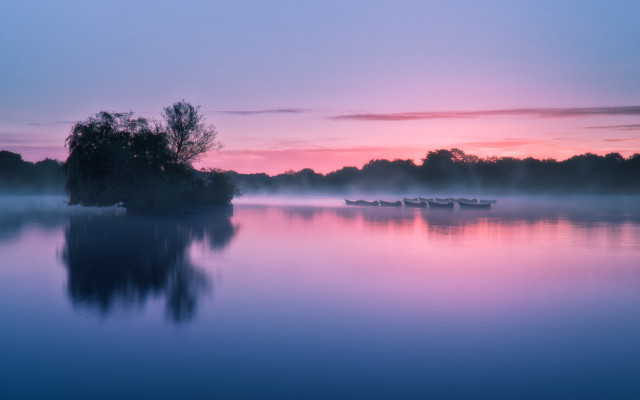 Lake boat fog dusk trees free wallpaper for desktop - medium preview image