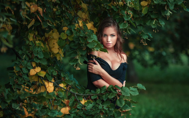 Woman black dress tree leaves free wallpaper for desktop - medium preview image