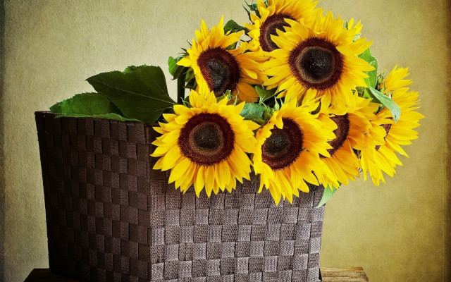 Basket sunflowers table wall photorealism free wallpaper for desktop - medium preview image