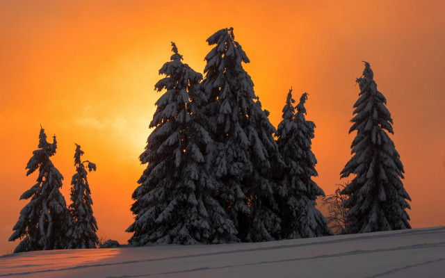 Snowy trees sunset clouds fiery free wallpaper for desktop - medium preview image