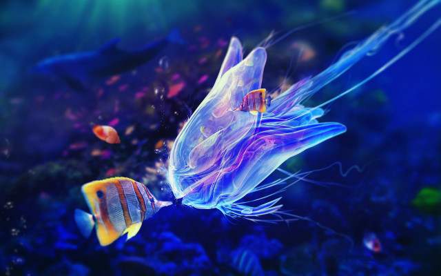Fish jellyfish aquarium blue holography free wallpaper for desktop - medium preview image