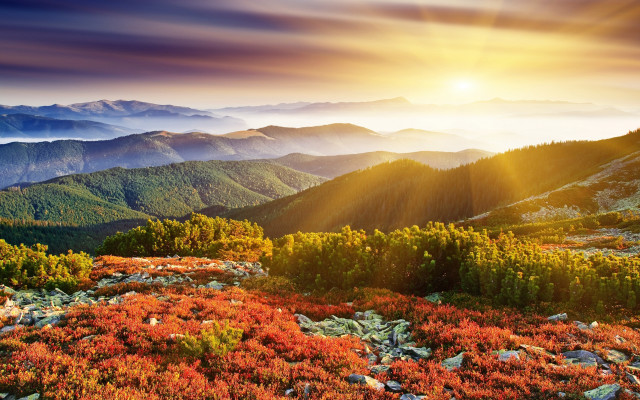 Mountain range sunset autumn leaves free wallpaper for desktop - medium preview image