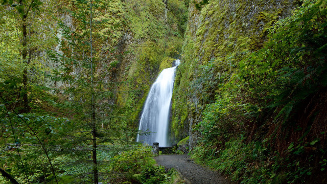 Waterfall forest path person standing free wallpaper for desktop - medium preview image