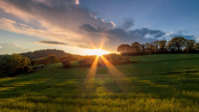 Sunset field trees clouds mountain free wallpaper for desktop - medium preview image