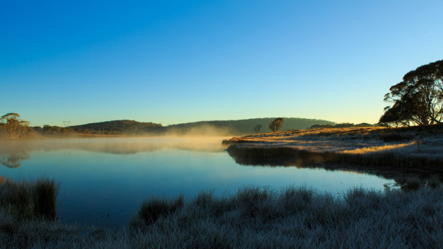 Lake forest fog sunrise bush free wallpaper for desktop - medium preview image
