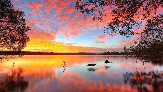 Sunset lake ducks trees pink free wallpaper for desktop - medium preview image