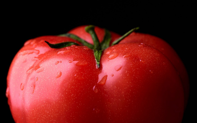 Tomato water droplets macro photography free wallpaper for desktop - medium preview image