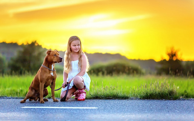 Girl dog sunset outdoors braid free wallpaper for desktop - medium preview image