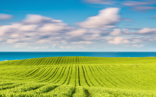 Green field water clouds landscape free wallpaper for desktop - medium preview image
