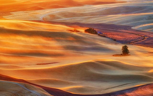 Sunset hills trees orange sky free wallpaper for desktop - medium preview image