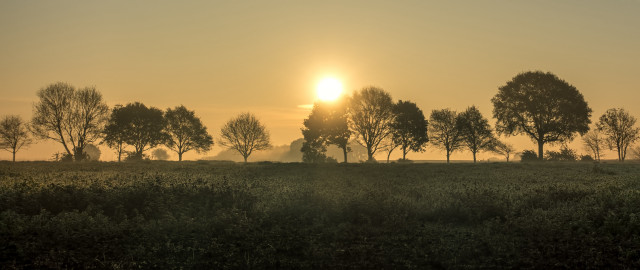 Foggy sunset mountain lake trees free wallpaper for desktop - medium preview image