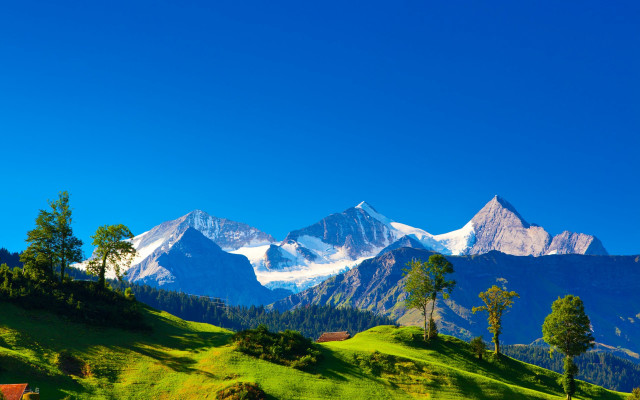 Mountain range trees blue sky #9 free wallpaper for desktop - medium preview image