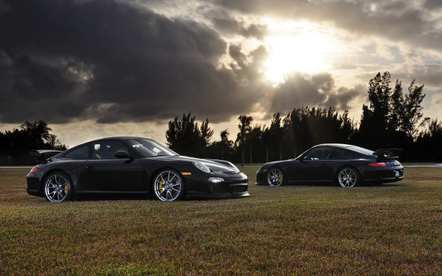 Black sports cars field cloudy free wallpaper for desktop - medium preview image