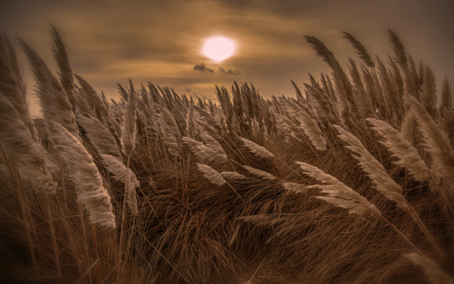 Sunset field grass clouds mountain free wallpaper for desktop - medium preview image