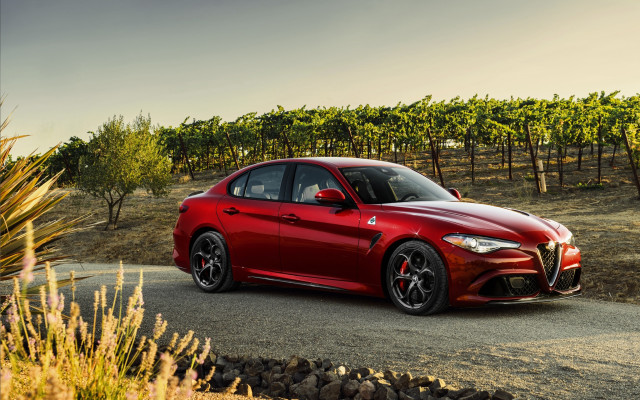 Red alfa coupe vineyard autumn free wallpaper for desktop - medium preview image