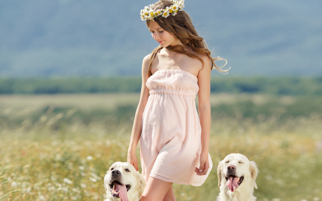 Girl dress dogs field mountains free wallpaper for desktop - medium preview image