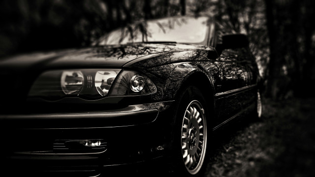 Black car parked tree park free wallpaper for desktop - medium preview image