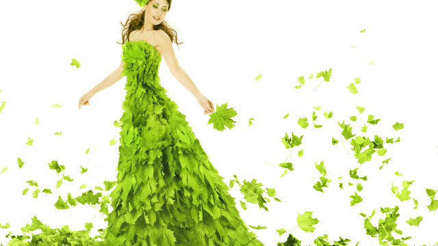 Green dress leaves butterflies plant free wallpaper for desktop - medium preview image