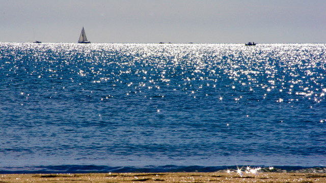 Sailboat ocean beach city sunset free wallpaper for desktop - medium preview image