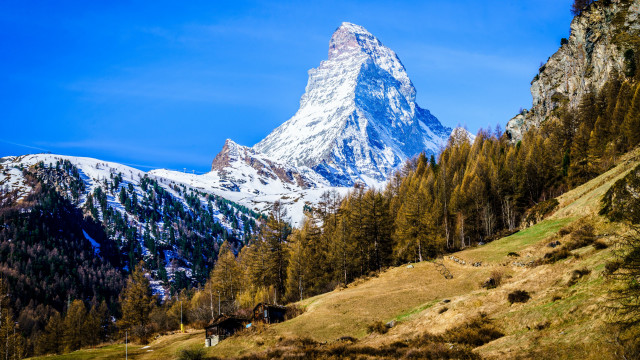 Mountain snowy peak grassy field free wallpaper for desktop - medium preview image